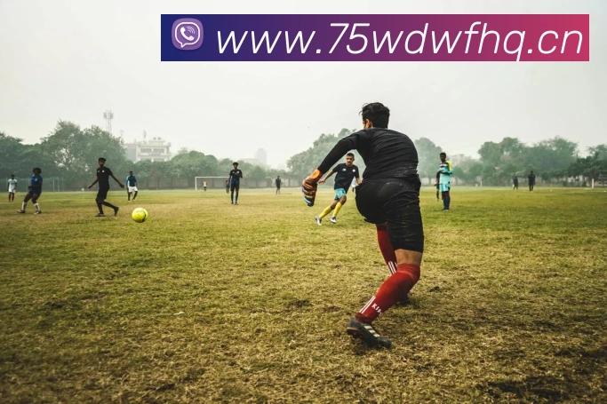 星空体育综合体育入口平台生态图